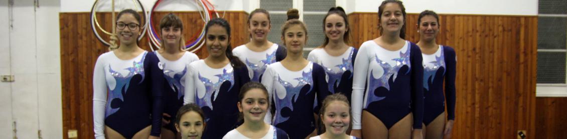 Corso Silver di Ginnastica Artistica Femminile LA