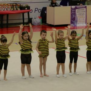 Gymgiocando 2014