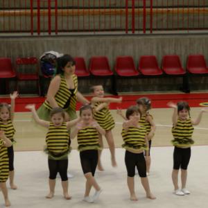 Gymgiocando 2014
