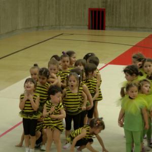 Gymgiocando 2014