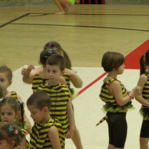 Gymgiocando 2014