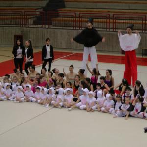 GYMNAESTRADA 2015
