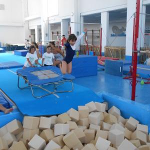 Summer GymCamp