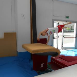 Summer GymCamp