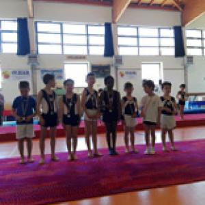 Trofeo Mignon Artistica
