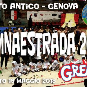GYMNAESTRADA 2018