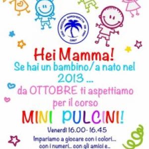Mini Pulcini